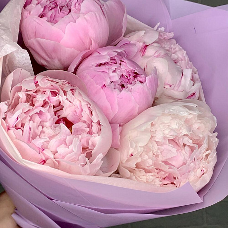 Букет цветов Pink peonies - Фото 4
