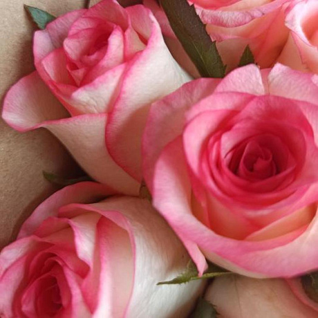 Букет цветов Розовые мечты №162 - Фото 5