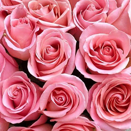 Букет из 25 розовых роз №164 - Фото 3