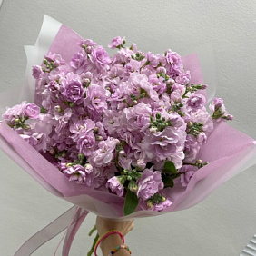 Монобукет из маттиолы