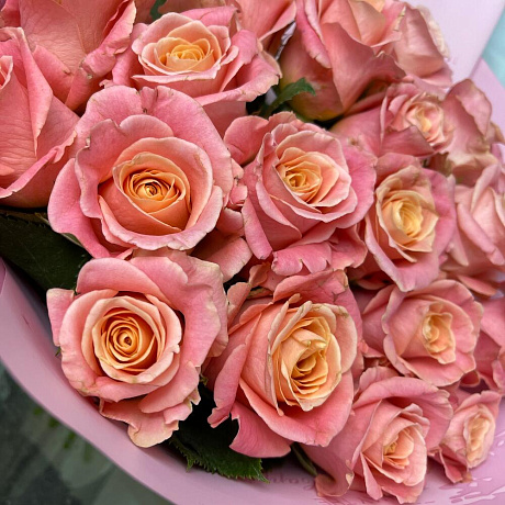 Ария - Фото 6