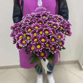Букет из 15 кустовых хризантем №170