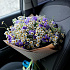 Букет цветов Летние грезы - Фото 2
