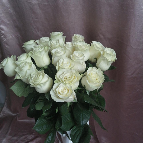 Букет из 21 белой эквадорской розы - Фото 3