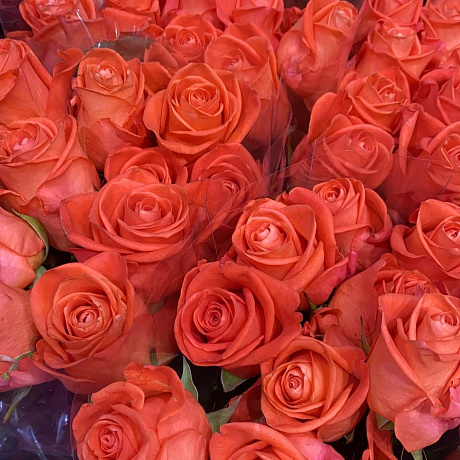 39 оранжевых роз - Фото 6