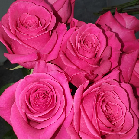 15 роз Малиновых - Фото 2