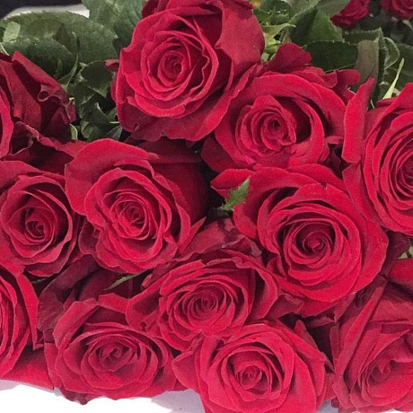 Букет из 15 красных роз №170 - Фото 2