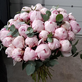 Букет "Зефир" №201