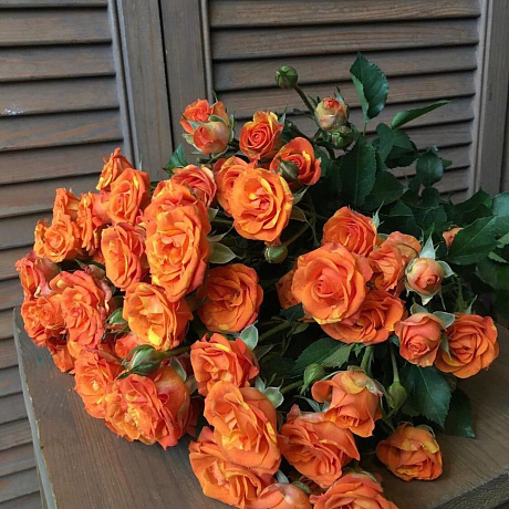 Букет из роз РАДУГА - Фото 1