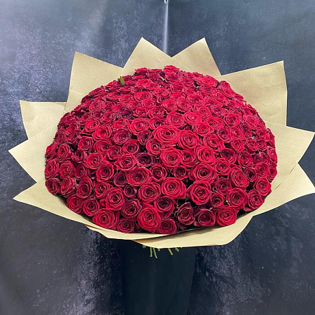 151 красная роза №160 - Фото 1