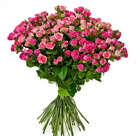 Букет из 25 кустовых розовых роз - Фото 1
