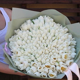 Тюльпан белый 201