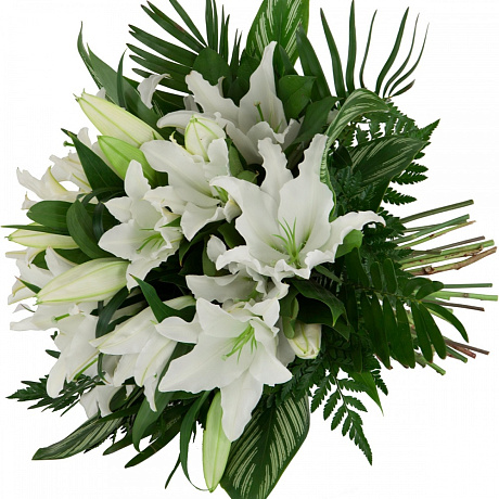 Букет белых лилий Авеллино - Фото 1