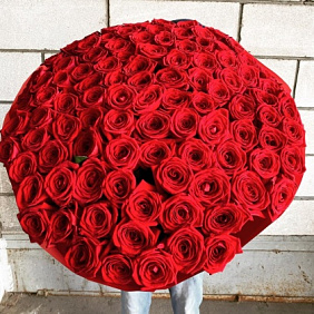 Букет 101 красная роза №176