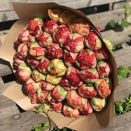 51 пионовидный тюльпан №160 - Фото 1