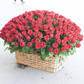 Корзина из 251 розы "Ред Наоми"