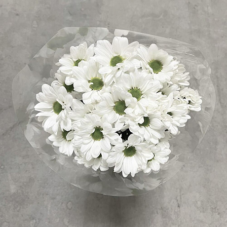 Монобукет из хризантем №162 - Фото 1