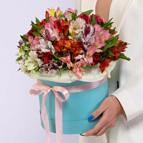 25 альстромерий микс в голубой шляпной коробке №782