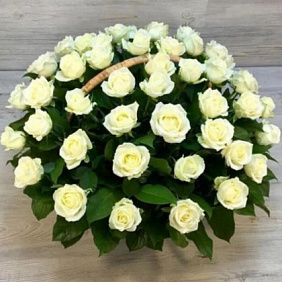 Корзина из 51 белой розы №162
