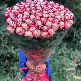 101 эквадорская роза Свитнес