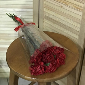 Гвоздика 20шт