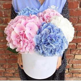 5 Гортензий в белой шляпной коробке