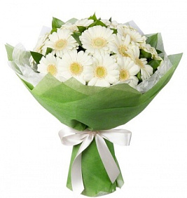 Букет из 25 белых гербер