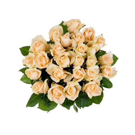Букет из 35 роз Капучино - Фото 1