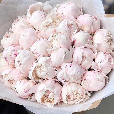 Букет пионов «Пломбир» - Фото 1