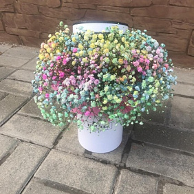 Цветы в коробке( Кудряш в шляпе )