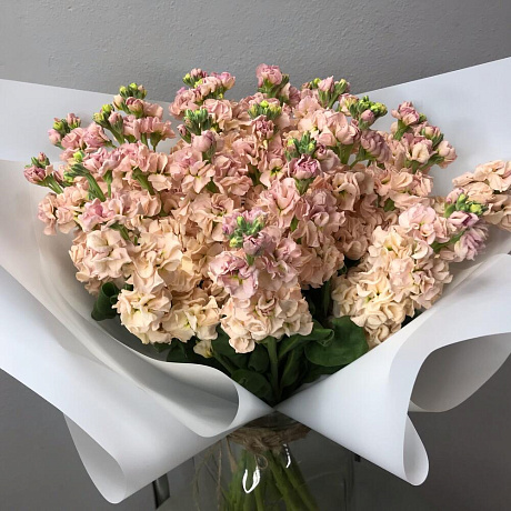 Букет цветов Evening scent Matiolo - Фото 1