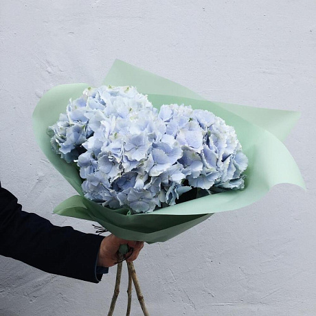 Букет Гортензия Голландия - Фото 1