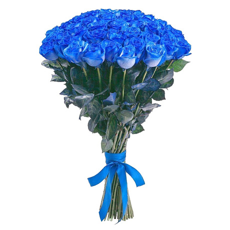 Букет 51 синяя роза - Фото 1