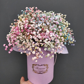 Коробочка гипсофилы