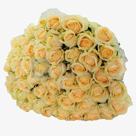 Букет 55 кремово-белых роз 40 см Россия - Фото 1