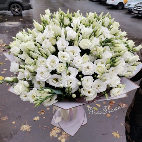 Букет из 41 белой эустомы - Фото 1