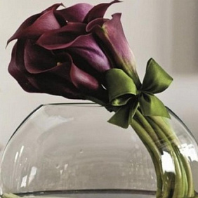 Каллы в вазе