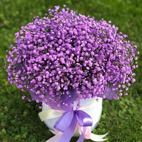 Фиолетовая гипсофила в шляпной коробке