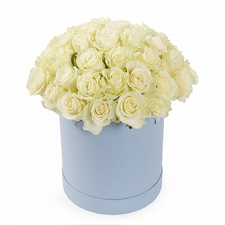 25 белых роз в голубой шляпной коробке №176 - Фото 1
