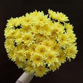 Букет с хризантемами №291