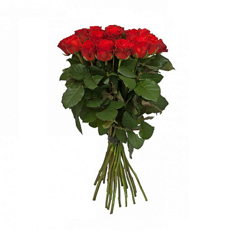 25 длинных красных роз 100 см - Фото 1