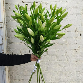 Букеты с лилиями №206