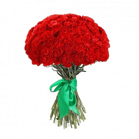 Букет гвоздик на 9 мая