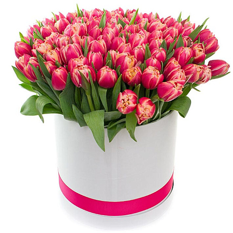 Букет из 75 красных тюльпанов в большой шляпной коробке - Фото 1
