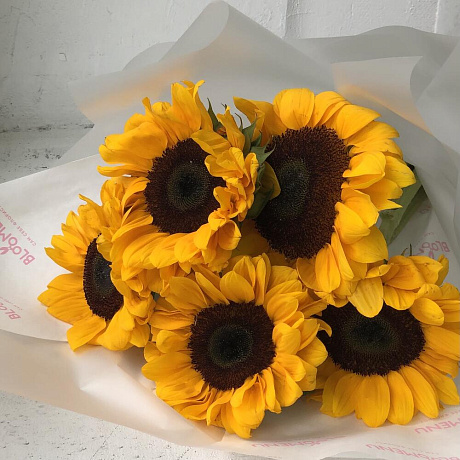 Букет отличника с подсолнухами - Фото 1