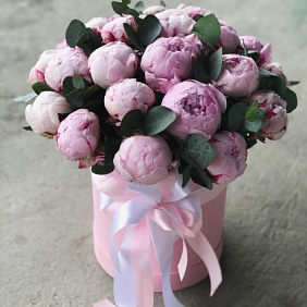 Шикарные Голландские пионы