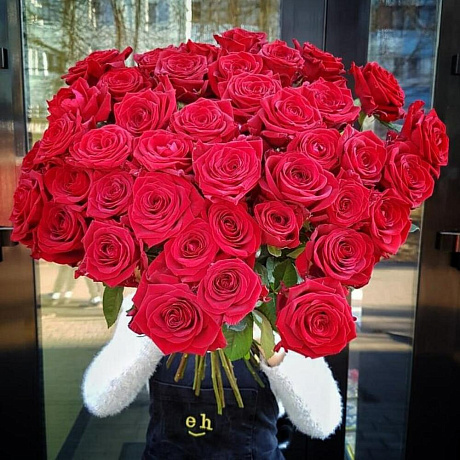 Букет из 51 бордовой розы - Фото 1