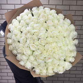 101 крупная белая роза