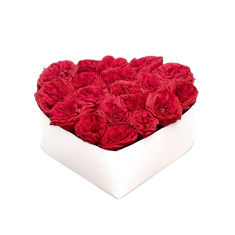 Сердце из 17 красных пионовидных роз Премиум - Фото 1