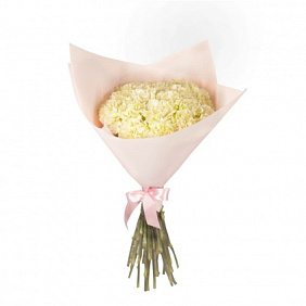 Букет из 19 гвоздик №160